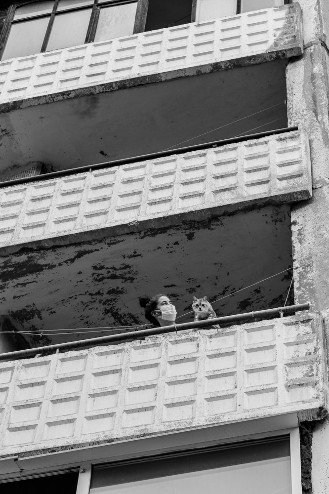 Кот на прогулке /  Cat for a walk