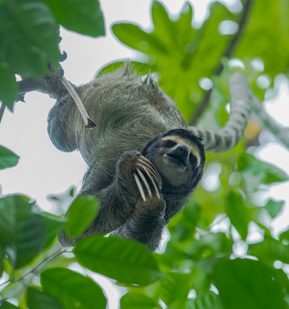 Photograph by Alejandro Capelli