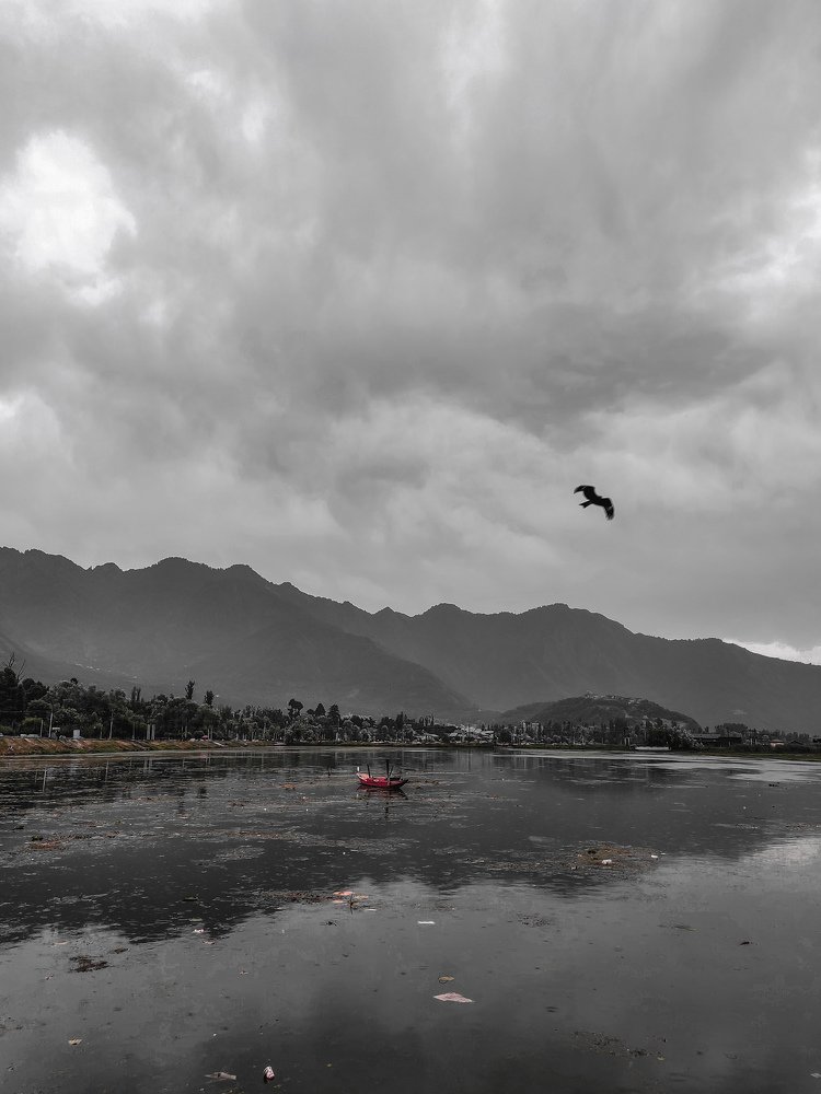 Photograph by Ali Uzma
