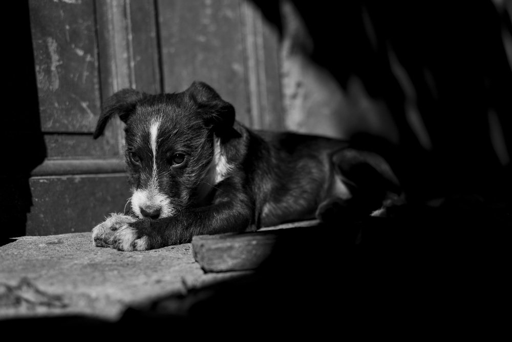 Photograph by Claudio Verón