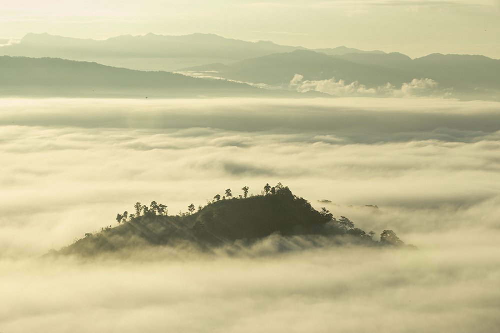 Nature always wear the colours of the spirit........