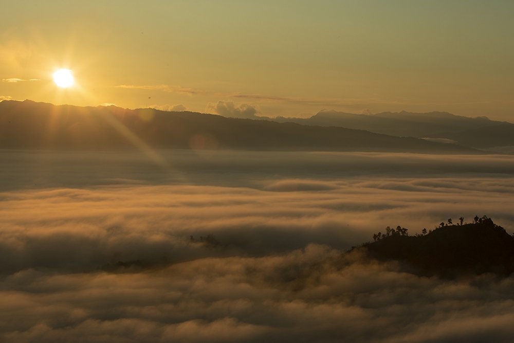 Nature always wear the colours of the spirit........