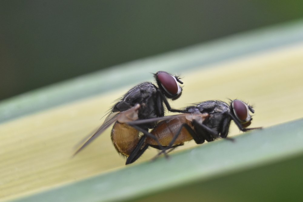 Photograph by Mohamed Raseem