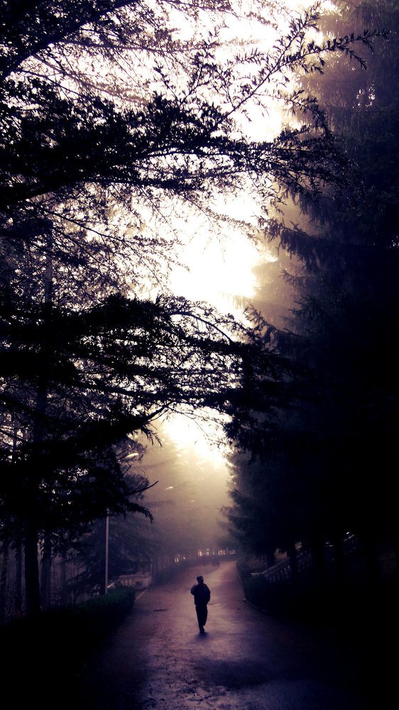 Фотография автора sose