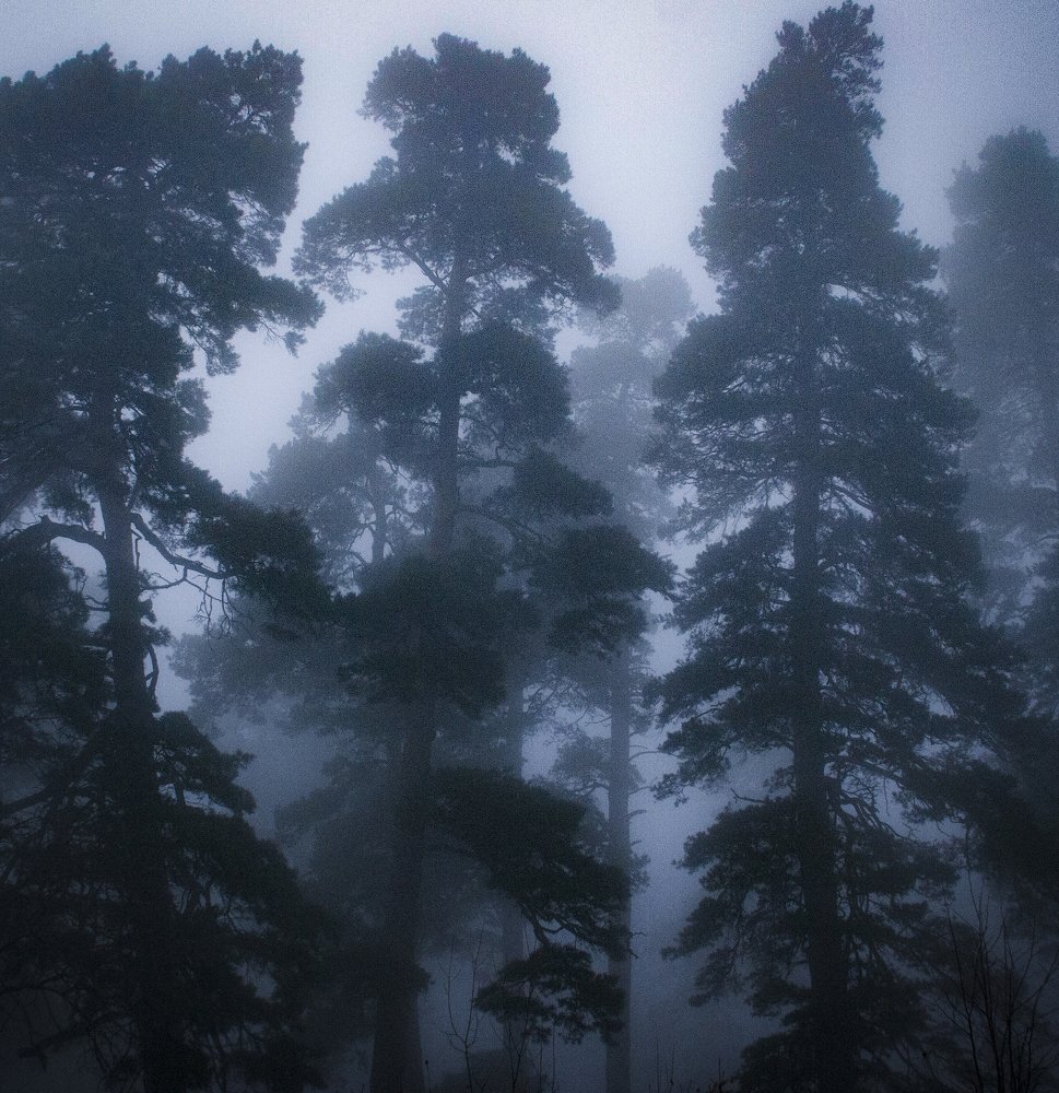 Фотография автора sose