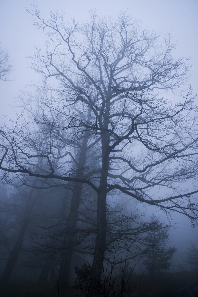 Фотография автора sose