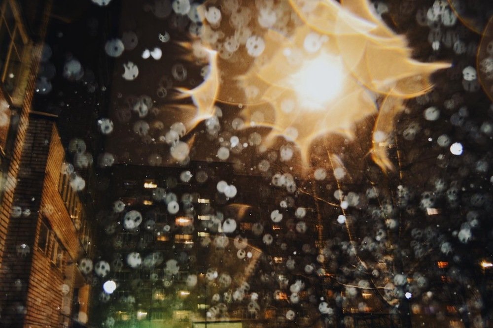 Photograph by Богомолова Александра