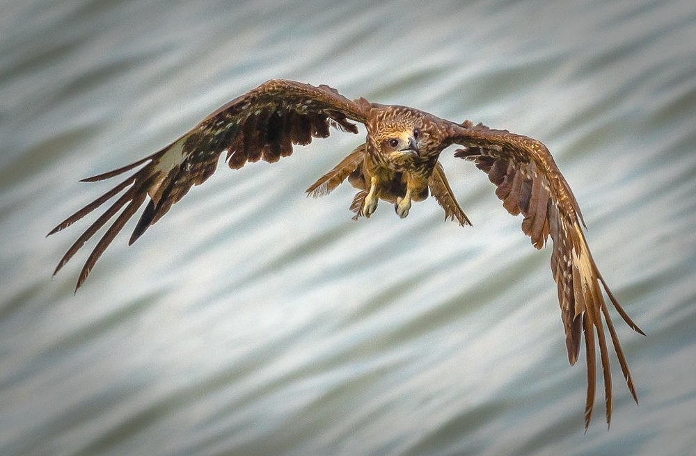 Фотография автора Maurice Leung