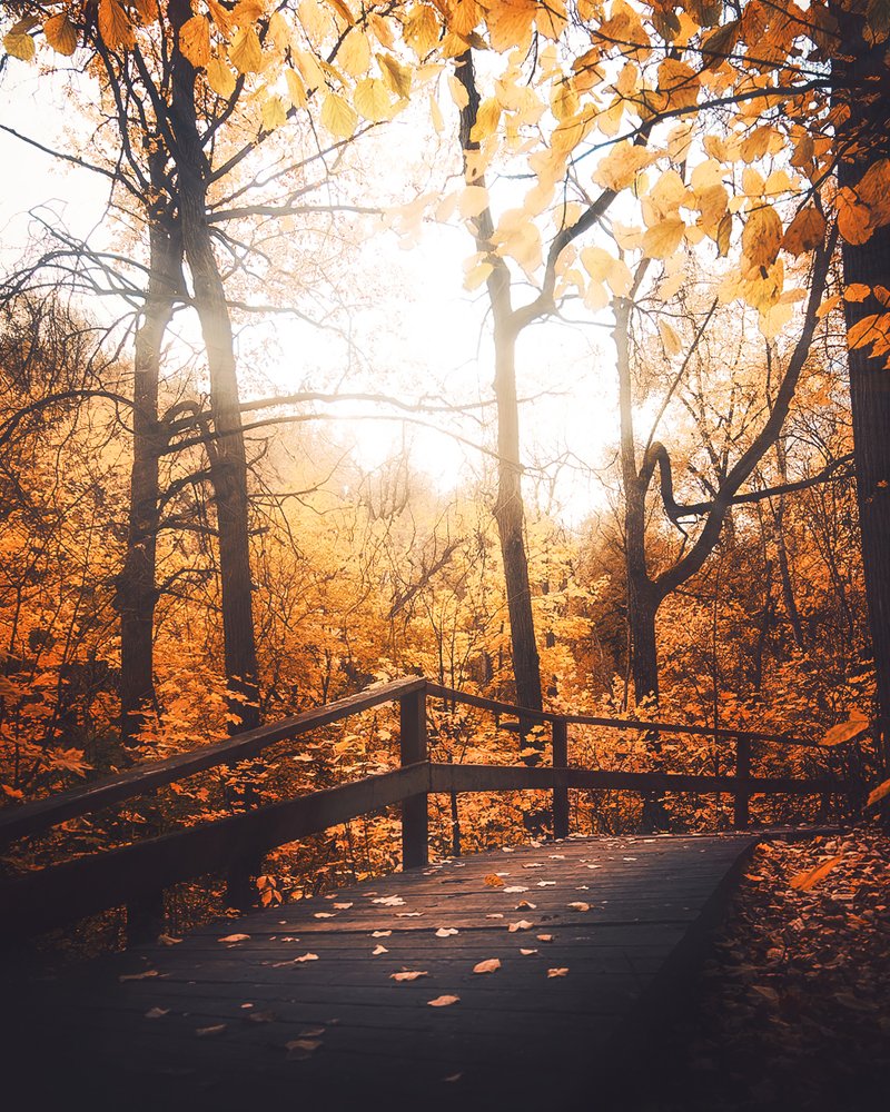 Photograph by Анастасия