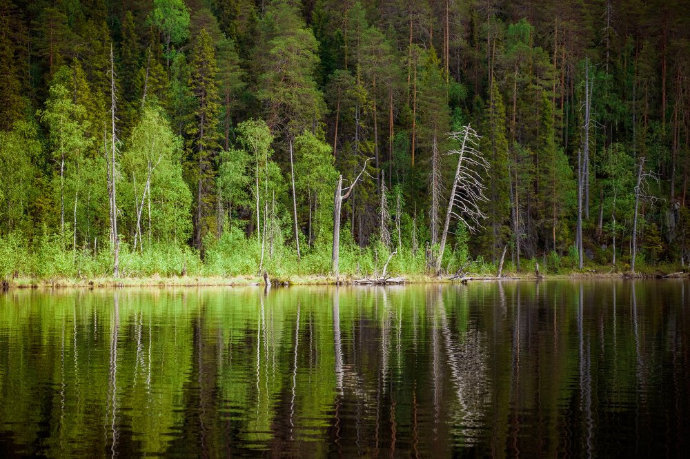 Зеркало Пизанца