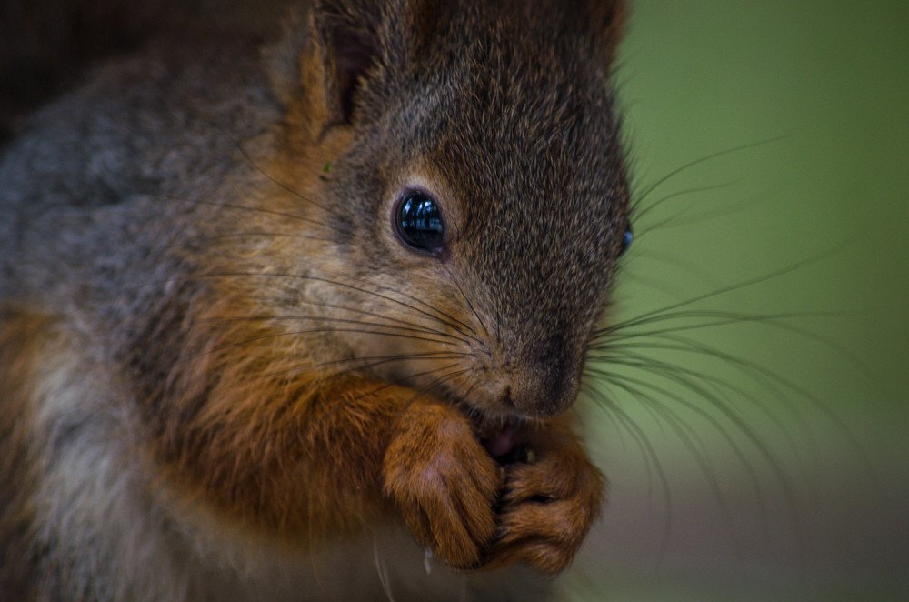 Photograph by Ирина