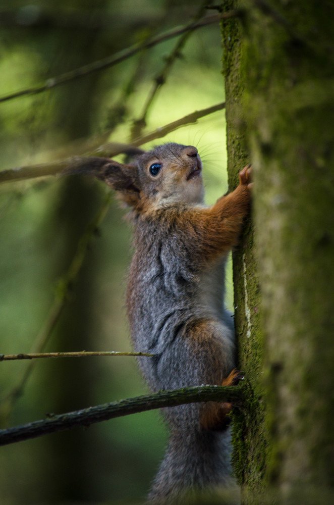 Photograph by Ирина