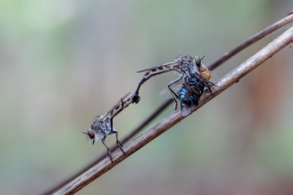 Photograph by Oky Suharso