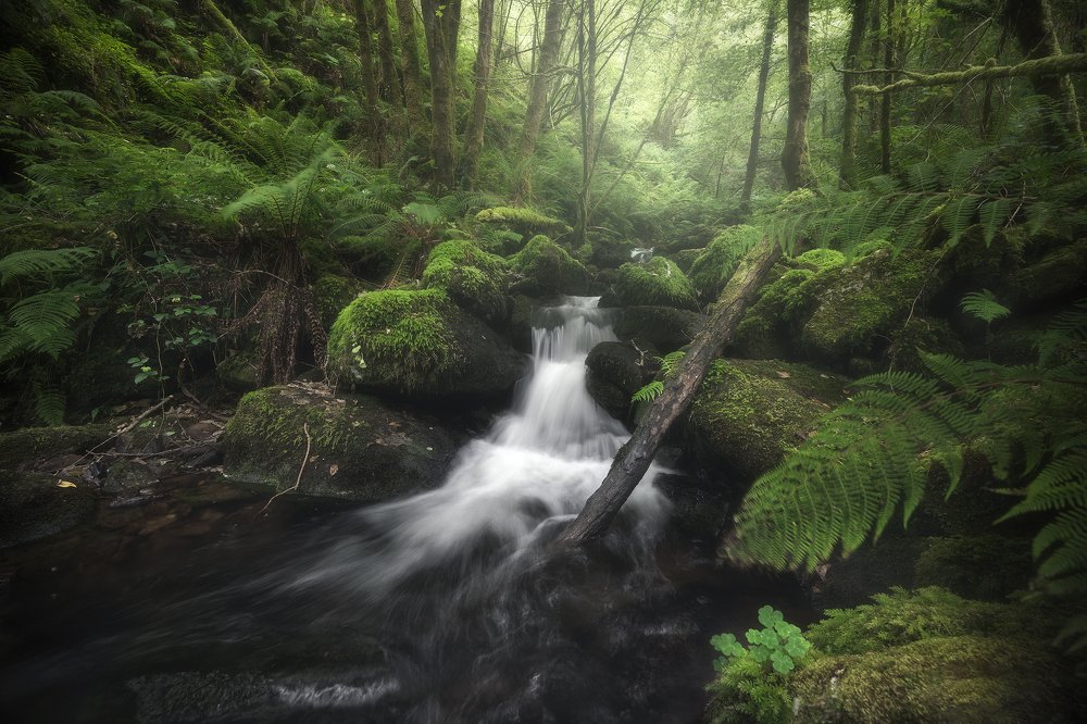 Photograph by Alfonso Maseda Varela