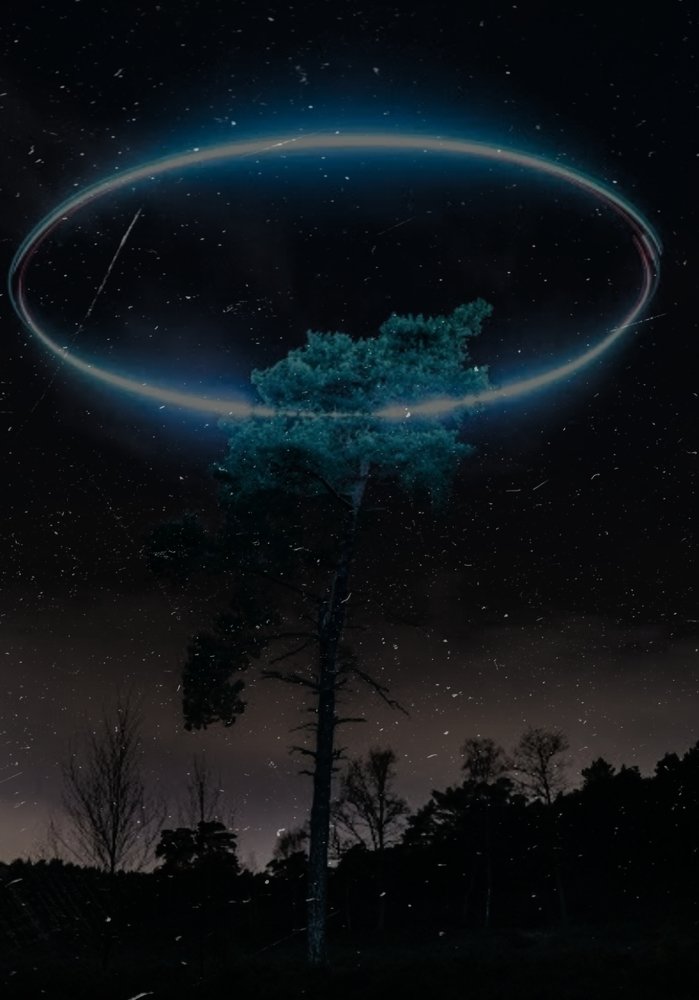 Night wish