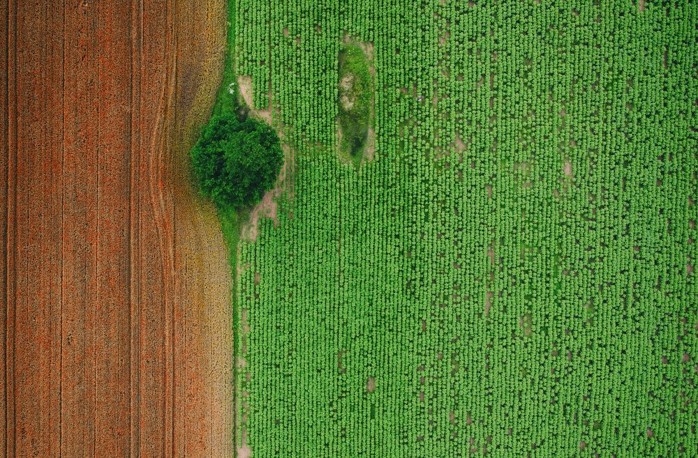 Photograph by Mihai Romeo Bogdan