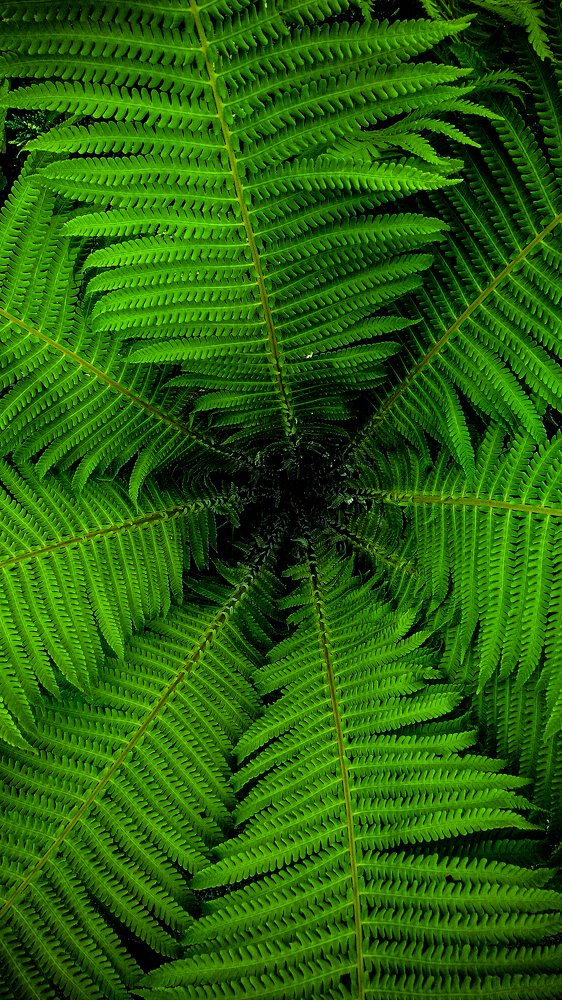 Photograph by Александр Попович