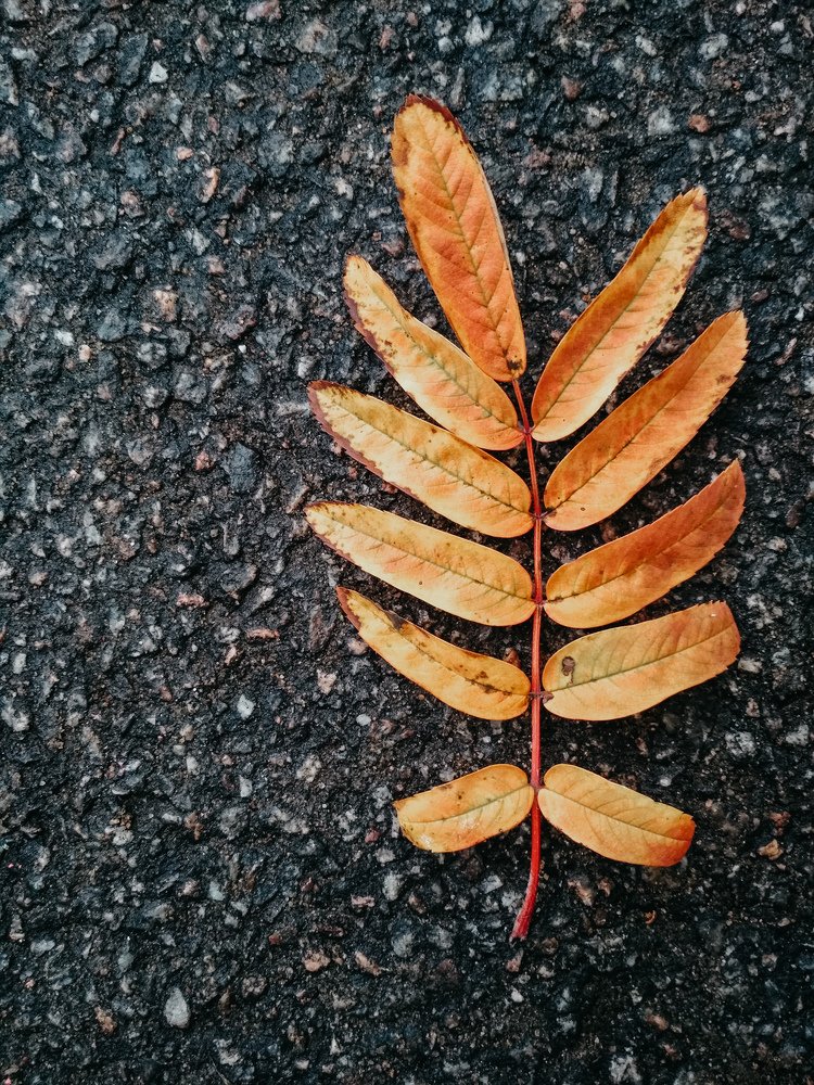 Photograph by Евгения Галиуллина