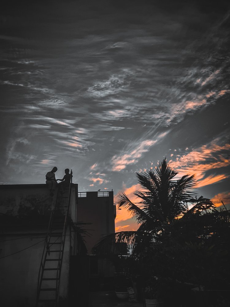 Photo #4712780