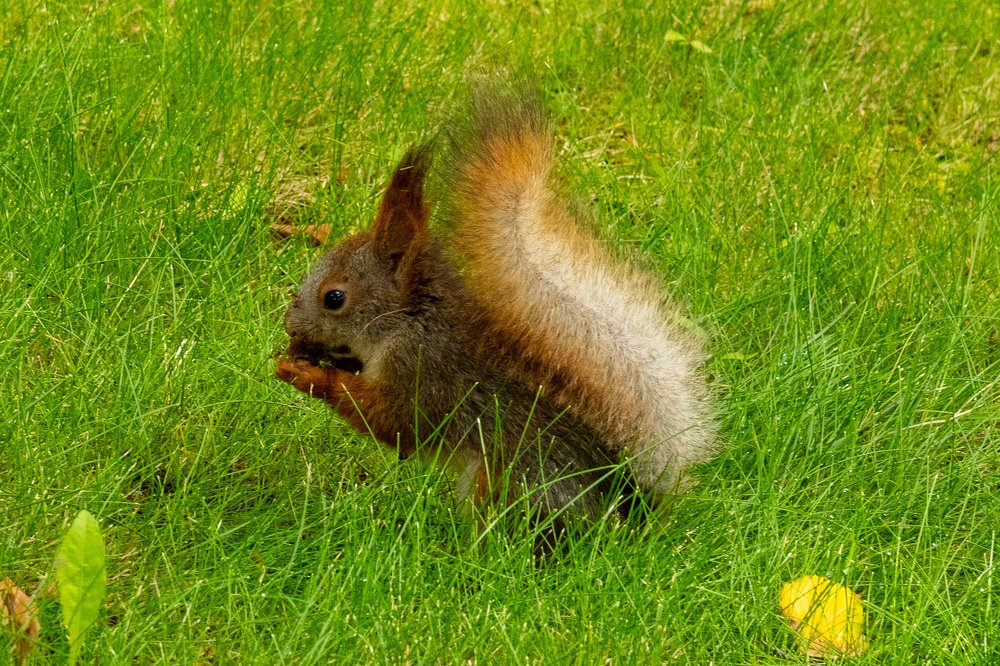 Photograph by Alexey Tsarkov