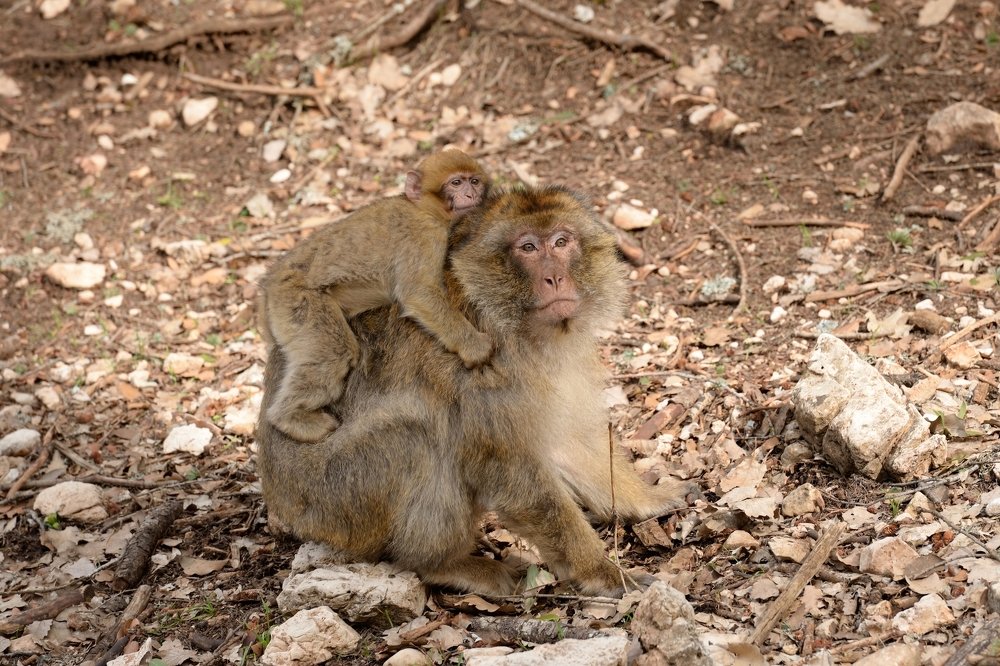 Photograph by Марина Богатырева