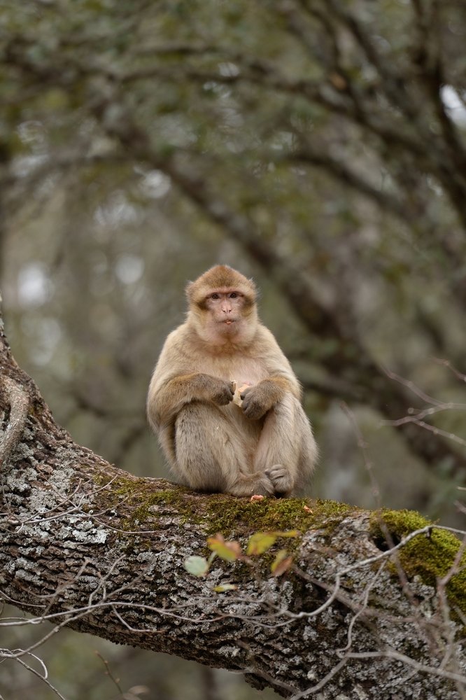 Photograph by Марина Богатырева