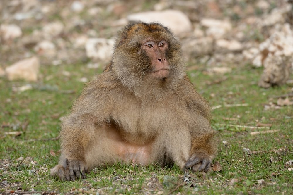 Photograph by Марина Богатырева