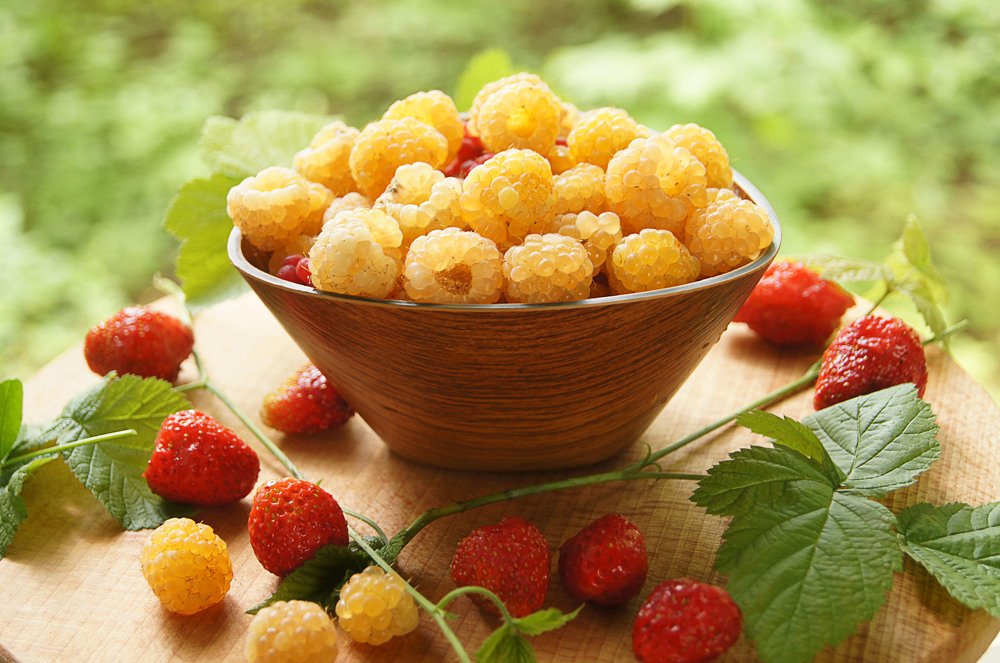 Photograph by Наталья