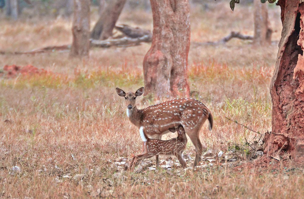 The eternal relationship