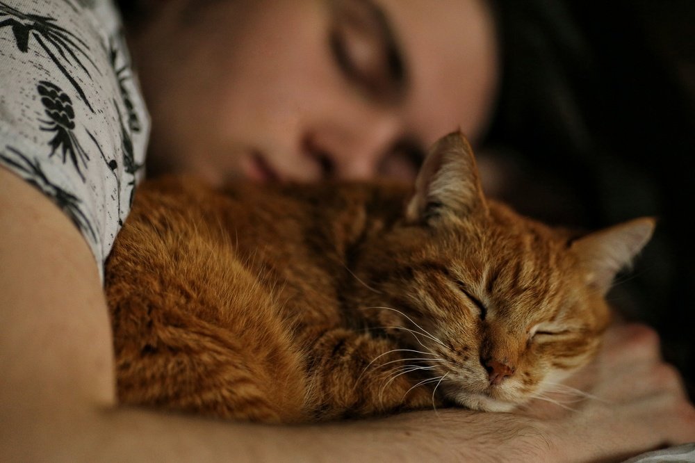 Photograph by Елена Румянцева