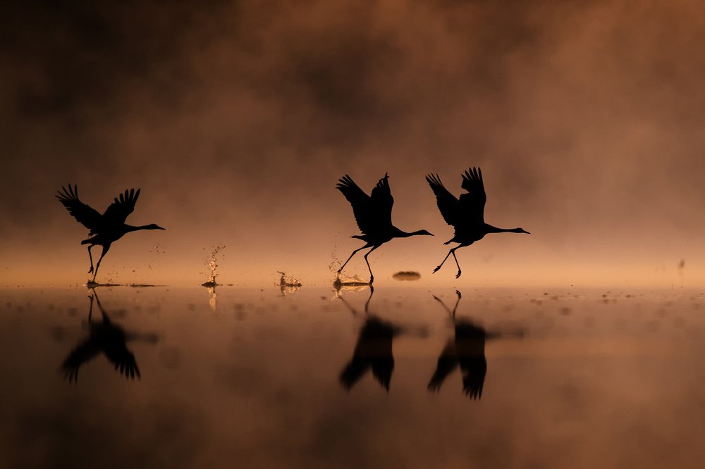 Photograph by Agnieszka Florczyk