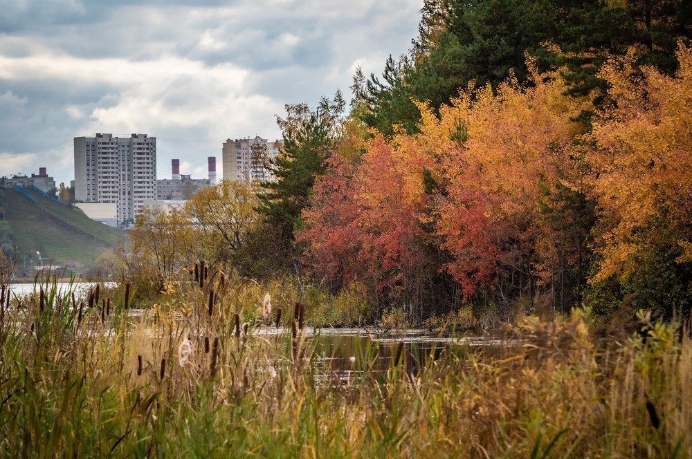 Photograph by Константин Горшенин