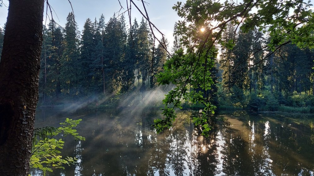 Photograph by ЭЛЬМИРА  ИСМАИЛОВА