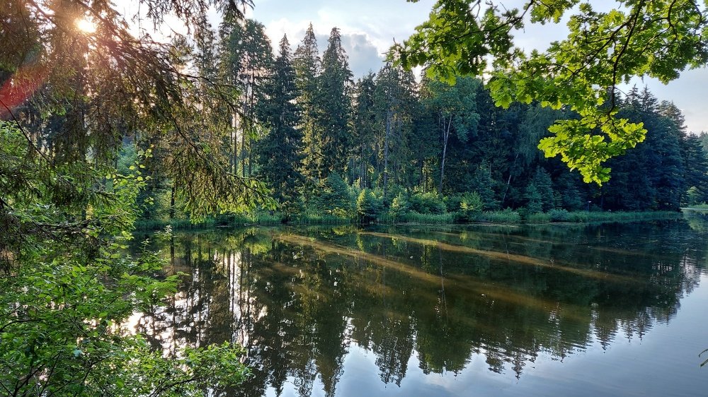 Photograph by ЭЛЬМИРА  ИСМАИЛОВА