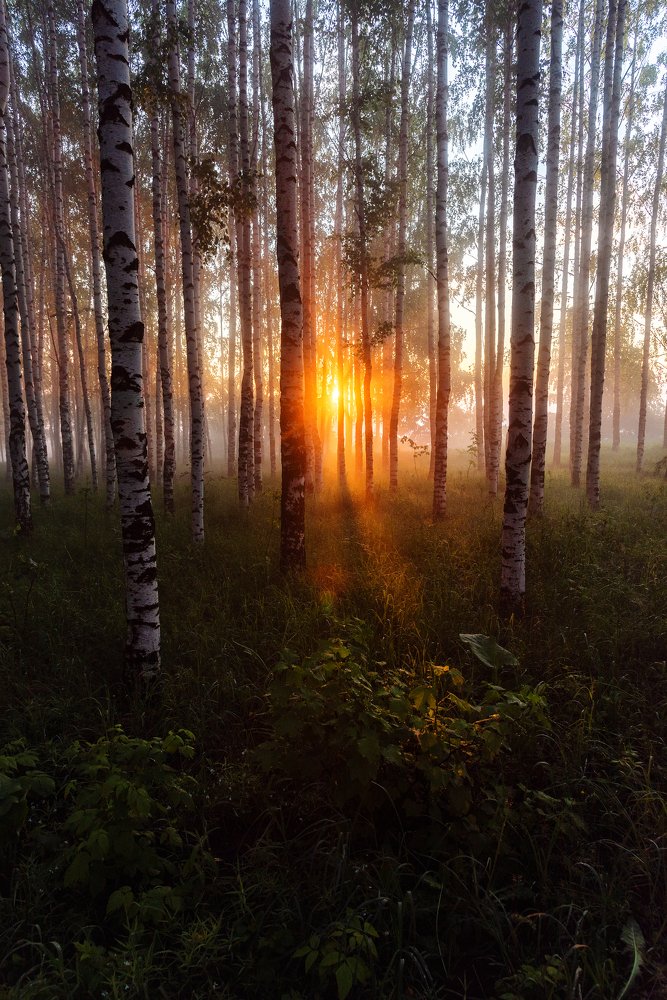 Фотография автора Карепанов Евгений