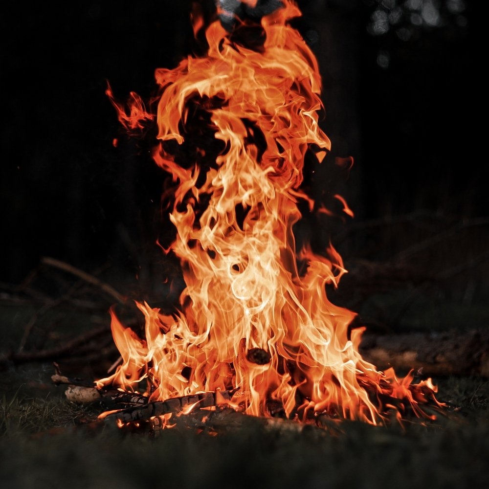 Photograph by Елена Румянцева