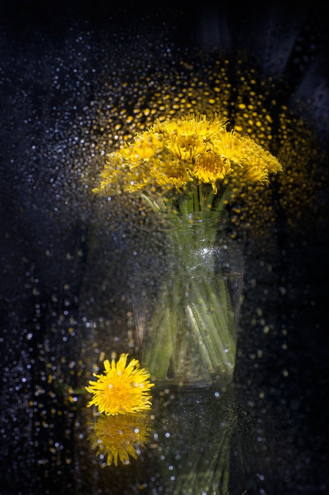 Photograph by Логинова Светлана