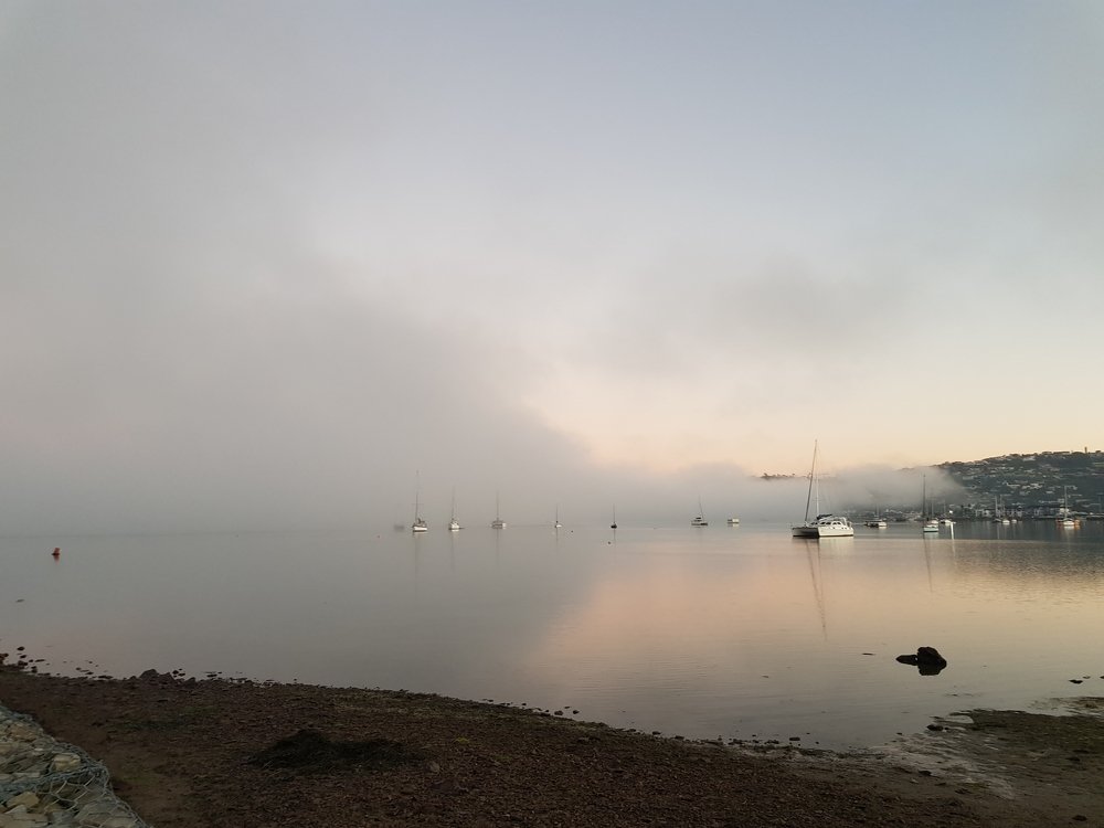 Photograph by Tanja Bantjes