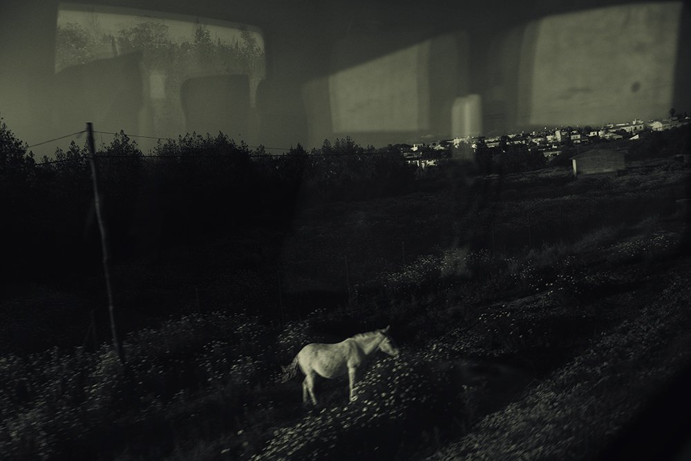 Train to Jerez de la Frontera, Spain