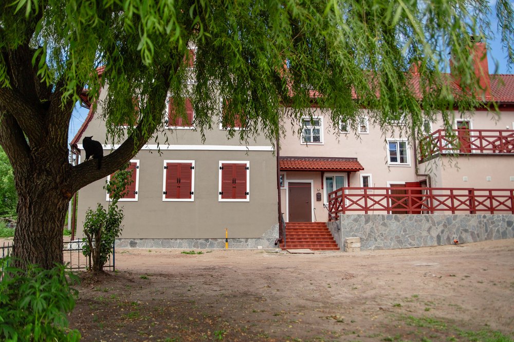 Photograph by Елена Корж