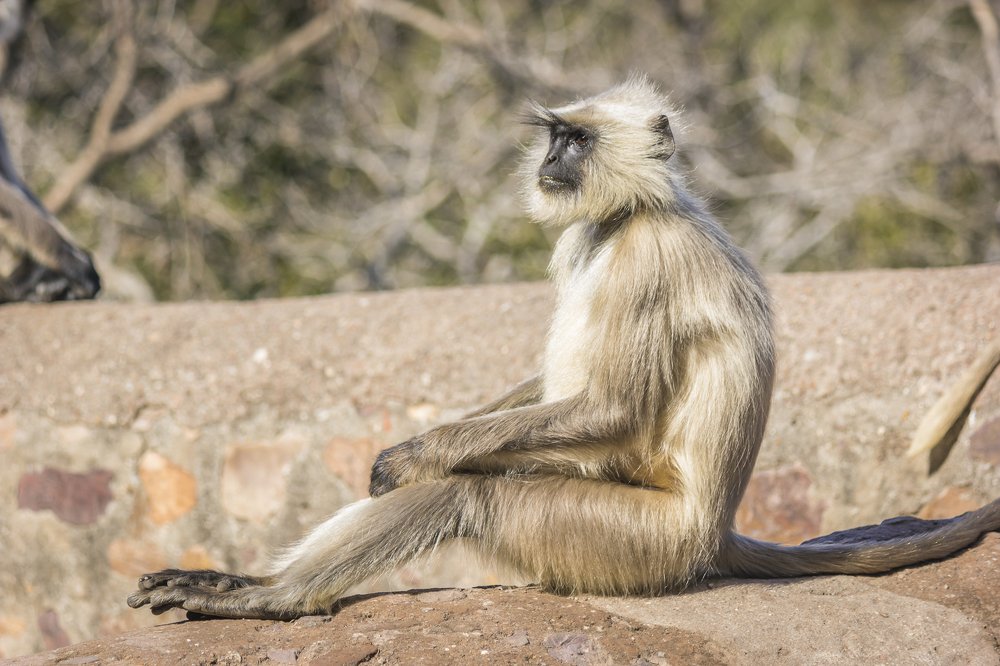 Photograph by Ana Grozea