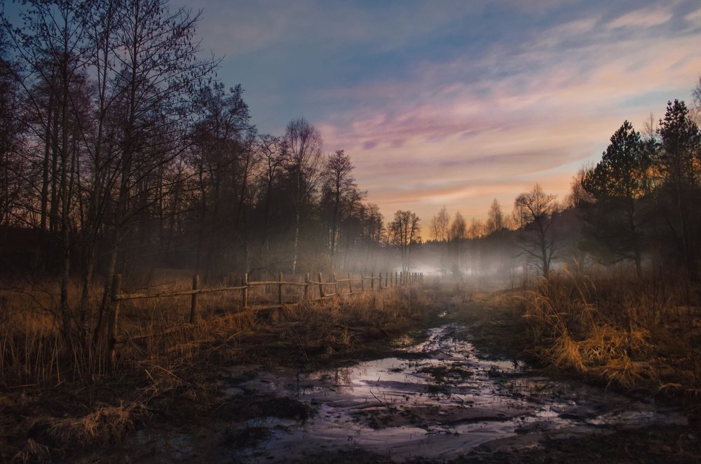 Photograph by Наталья Золотарева