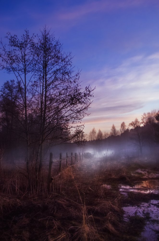 Photograph by Наталья Золотарева