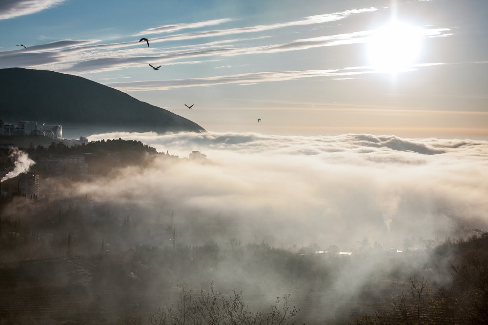 Photograph by Nikolai Petrashov