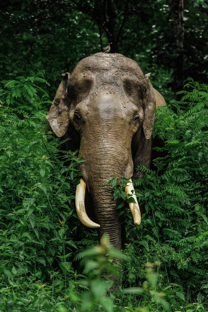 Photograph by muhammed Ali