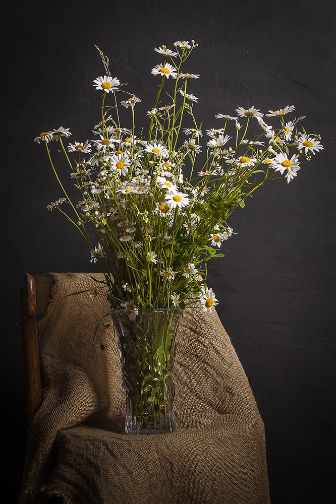 Photograph by Дмитрий Сундеев