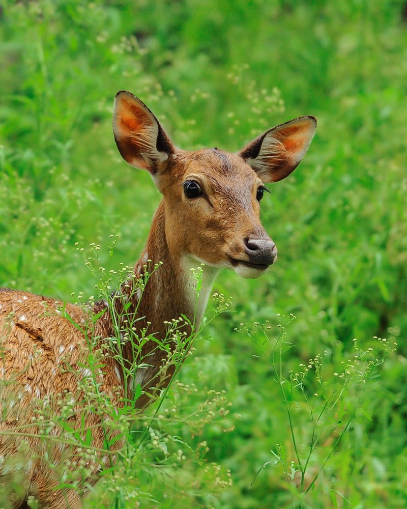 Photograph by muhammed Ali