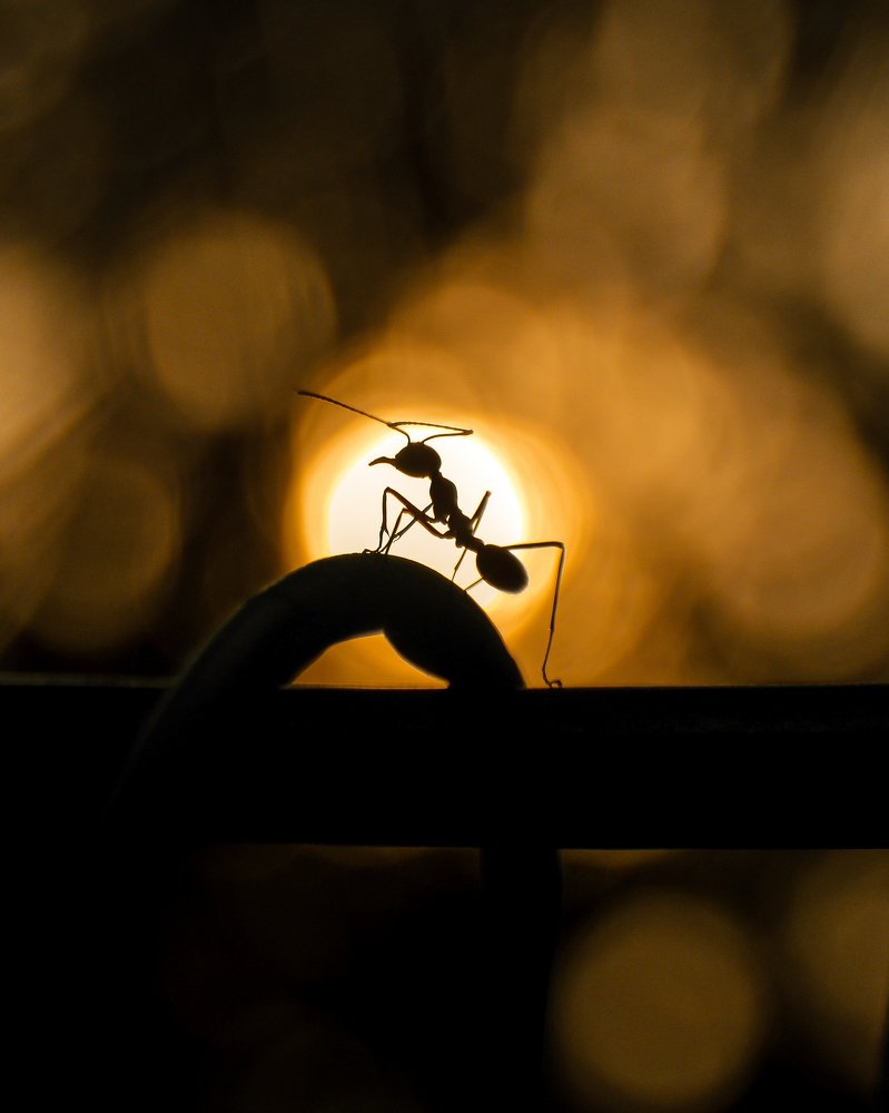 Photograph by SaMji FeaRlez