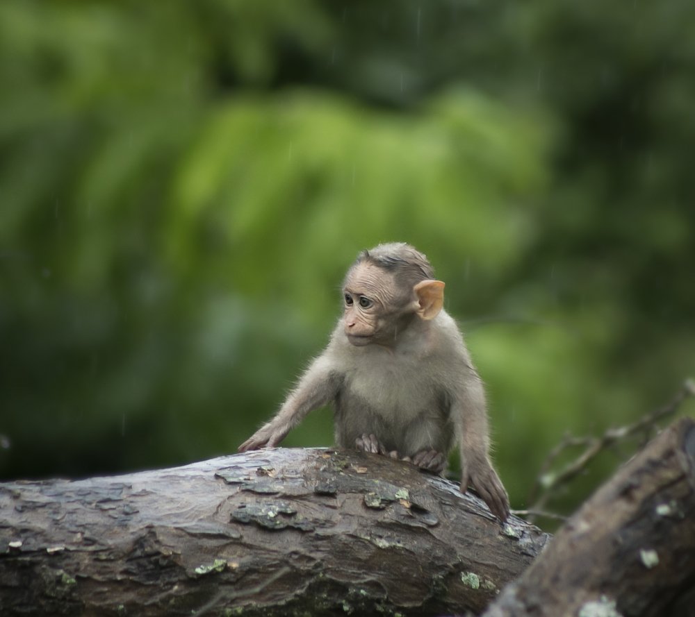 Photograph by muhammed Ali