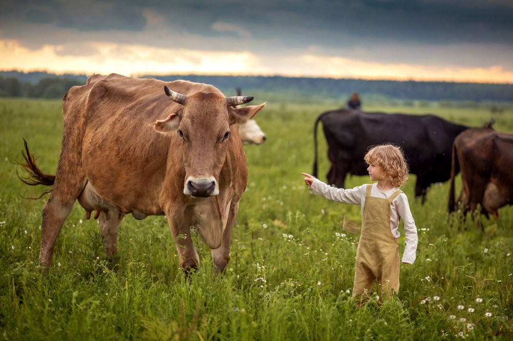 Photograph by Наталья Сидорова
